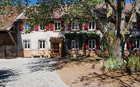 Le jardin des gouttes