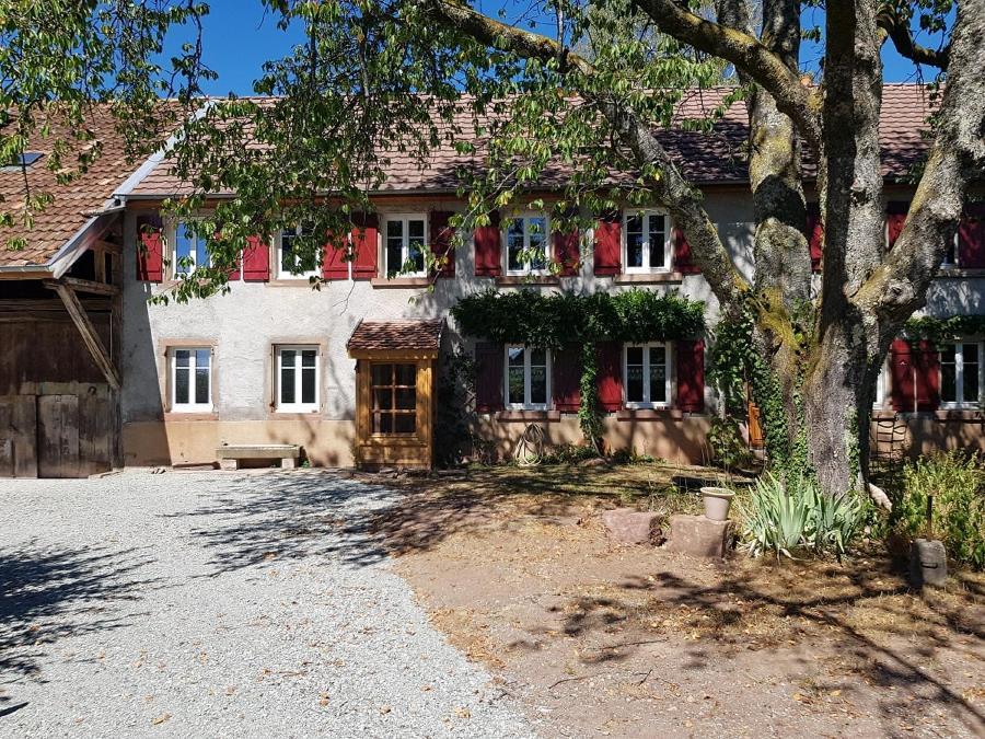 Bed and Breakfast Le jardin des gouttes à Rougegoutte Extérieur photo